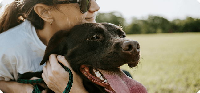 Dog Hugging Owner